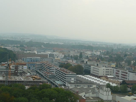 Integra-Square mit den alten Buchen